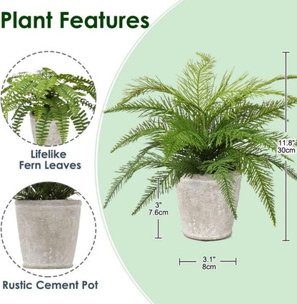 2er Set Kunstpflanze Boston Farn im Zementtopf Deko Grün