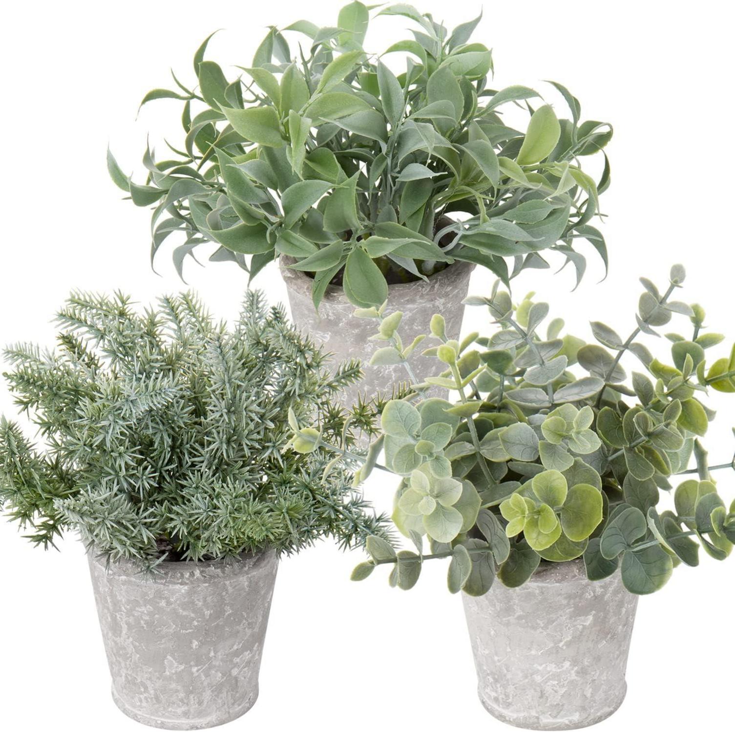 Kunstpflanze Set Eukalyptus Rosmarin Kräuter Zementtopf 3er