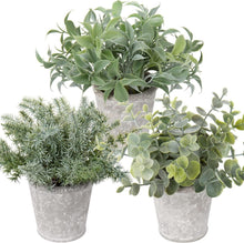 Kunstpflanze Set Eukalyptus Rosmarin Kräuter Zementtopf 3er