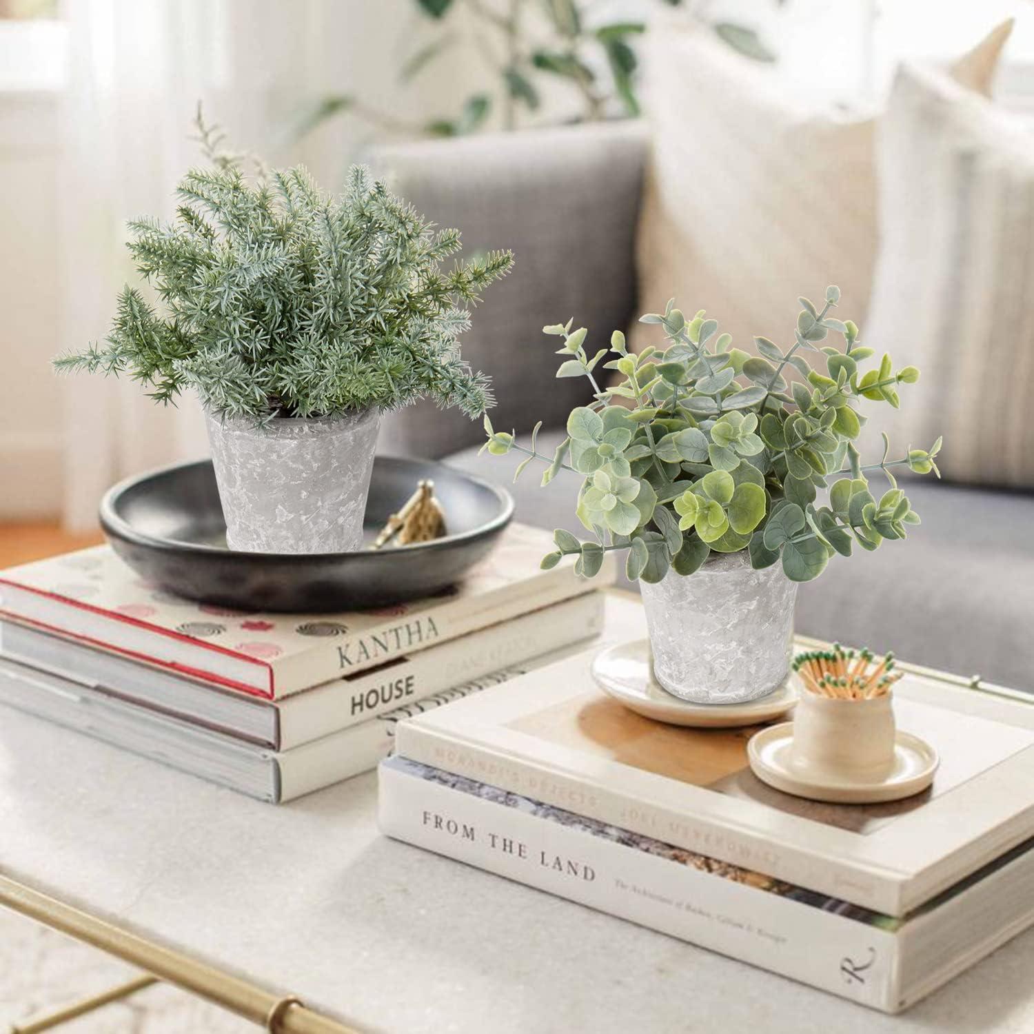 Kunstpflanze Set Eukalyptus Rosmarin Kräuter Zementtopf 3er