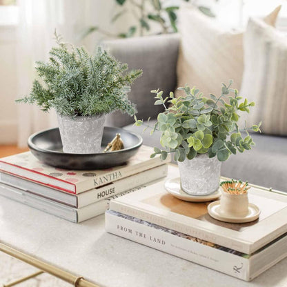 Kunstpflanze Set Eukalyptus Rosmarin Kräuter Zementtopf 3er