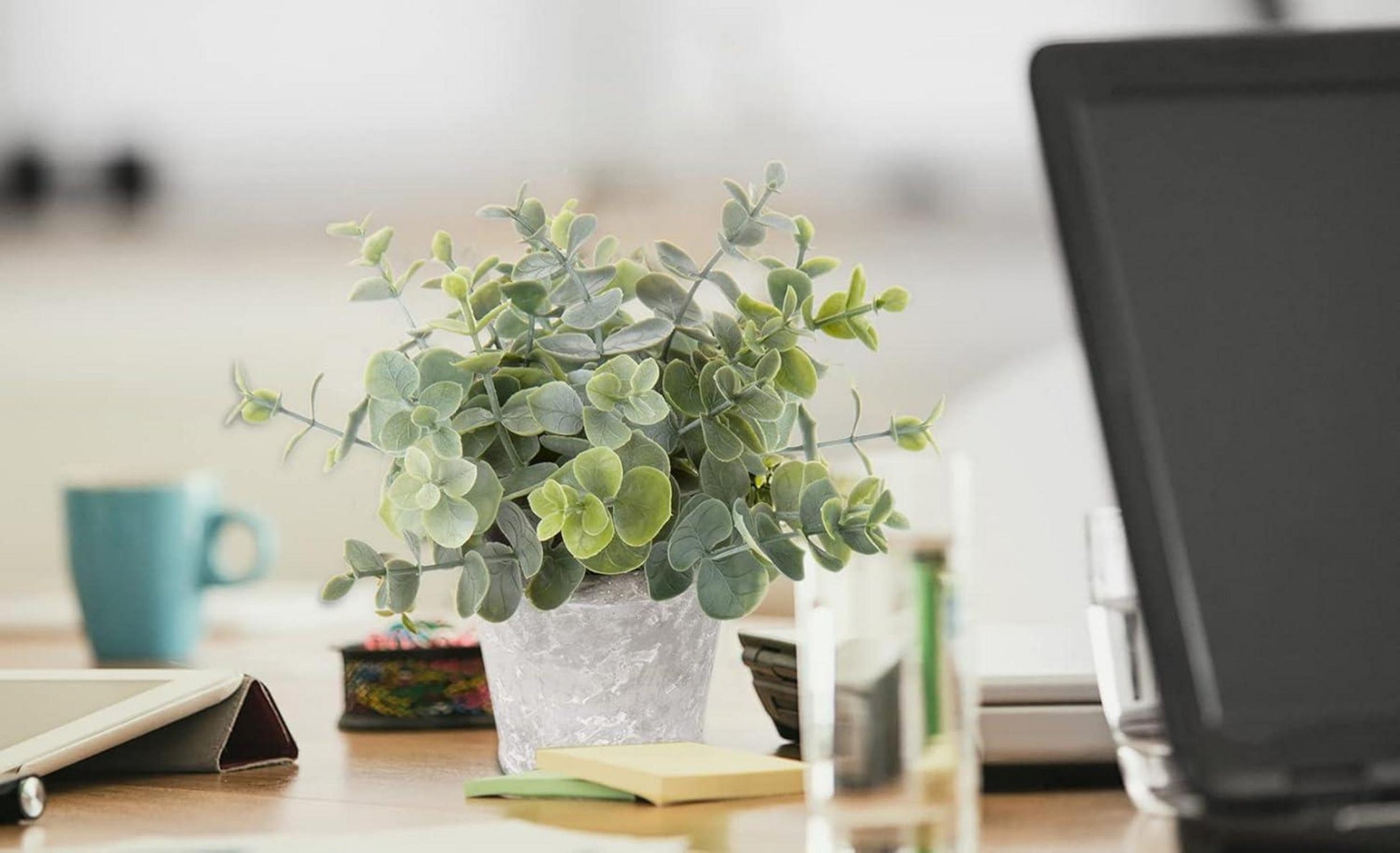 3er Set Mini Kunstpflanzen Eukalyptus Rosmarin Kräuter Zementtopf Deko