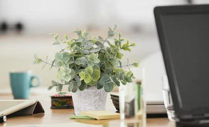 3er Set Mini Kunstpflanzen Eukalyptus Rosmarin Kräuter Zementtopf Deko