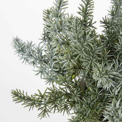 Kunstpflanze Eukalyptus Rosmarin Kräuter im Zementtopf 3er Set