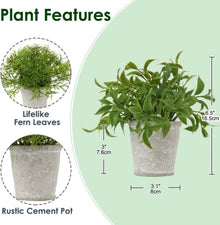 Mini Kunstpflanze Eukalyptus Rosmarin Kräuter 3er Set in