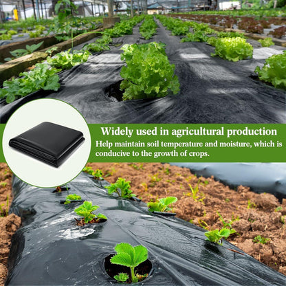 Schwarze Gewächshausfolie 2x3m 2mil für Gartenarbeit - Gartenfolie