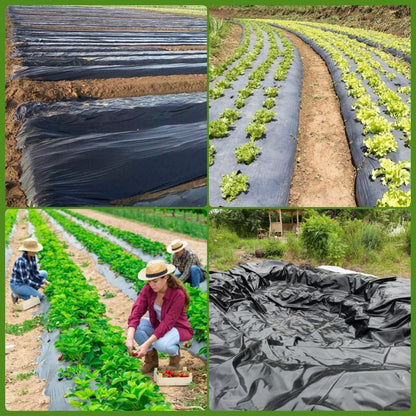Schwarze Gewächshausfolie 2x3m 2mil für Gartenarbeit - Gartenfolie