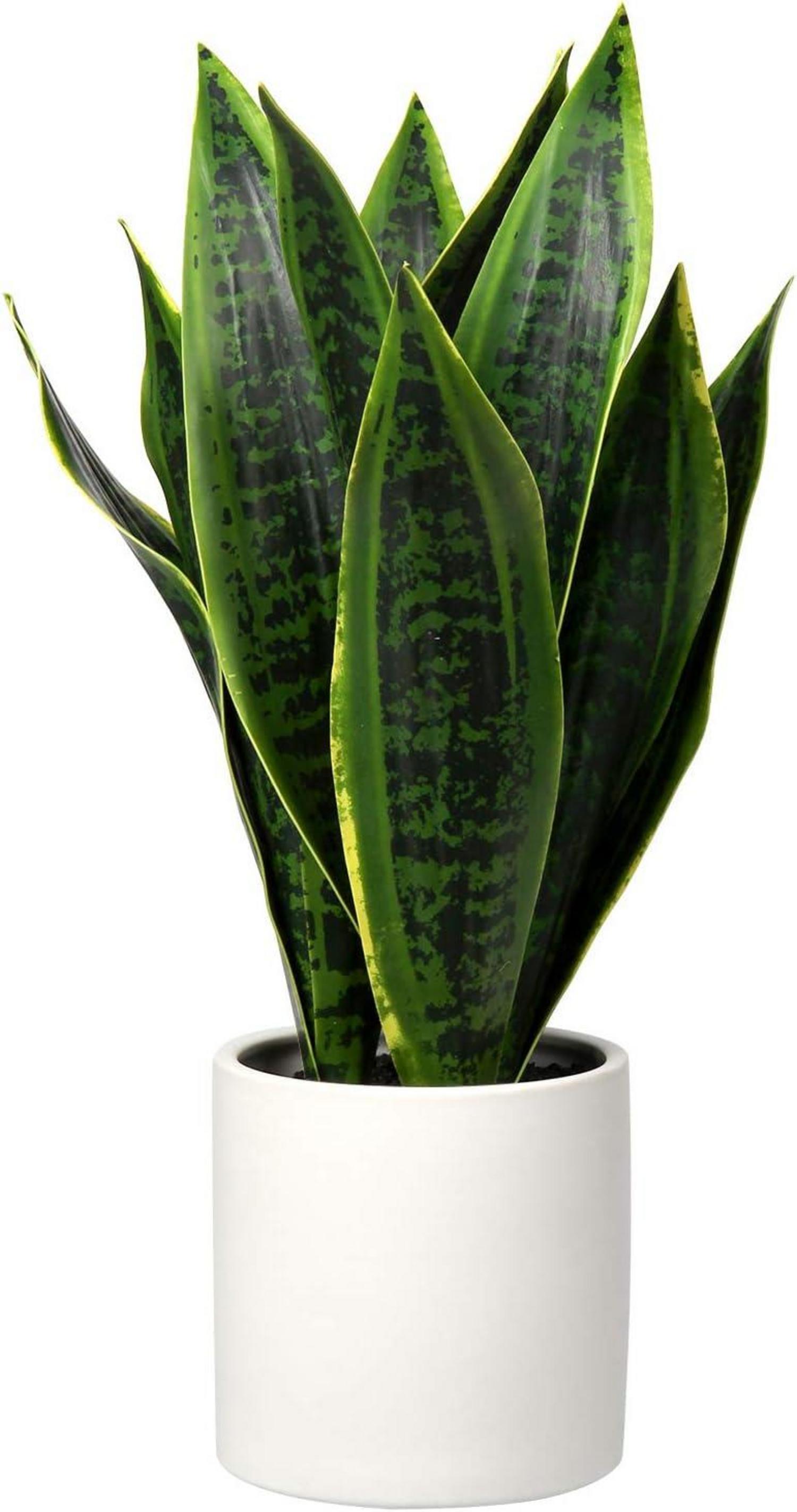 Künstliche Sansevieria Zimmerpflanze Weißem Keramiktopf 40.6cm