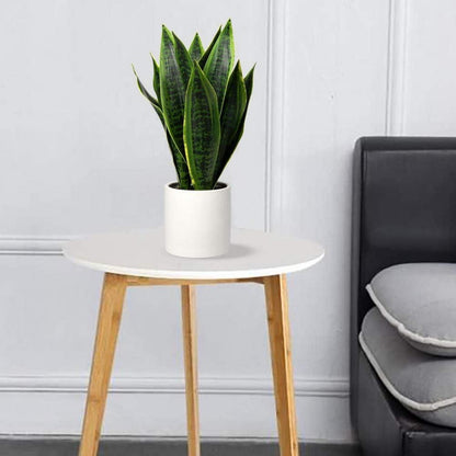 Künstliche Sansevieria Dekopflanze in Keramiktopf, 40.6cm, grün