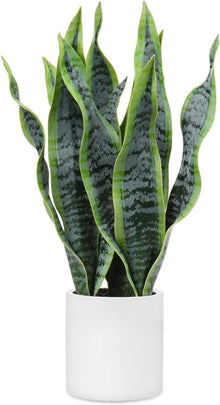 Künstliche Sansevieria Dekopflanze Weiß Keramiktopf 40.6cm