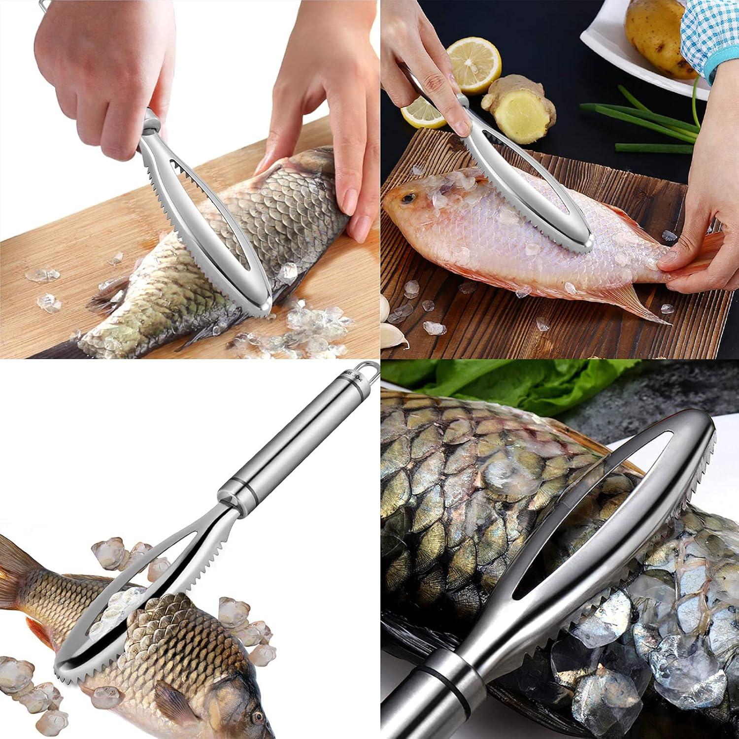Esteopt Fischentschupper Edelstahl Profi Fisch Scaler Scraper