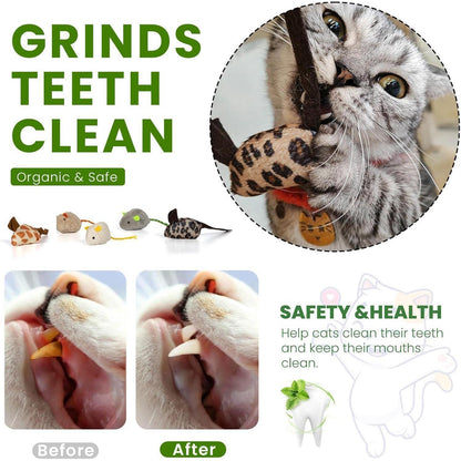 Katzenminzen Spielzeug 36 Stück Mäuse & Sticks