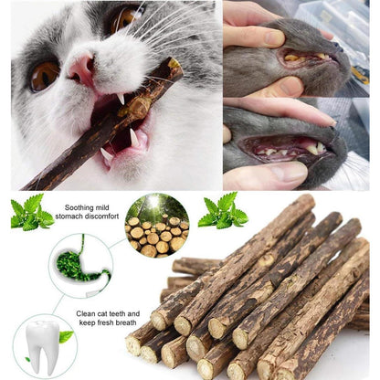 Katzenminzen Spielzeug 36 Stück Mäuse & Sticks