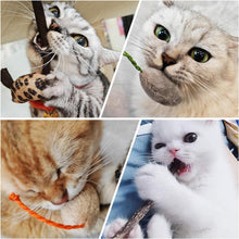 Katzenminzen Spielzeug 36 Stück Mäuse & Sticks