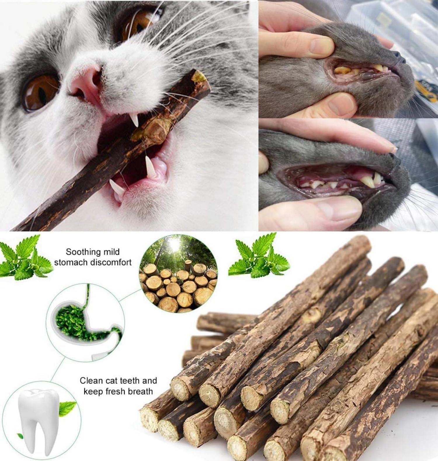 36 Stück Katzenminzen Spielzeug Plüsch Maus Interaktives für Katzen Kätzchen Mäuse