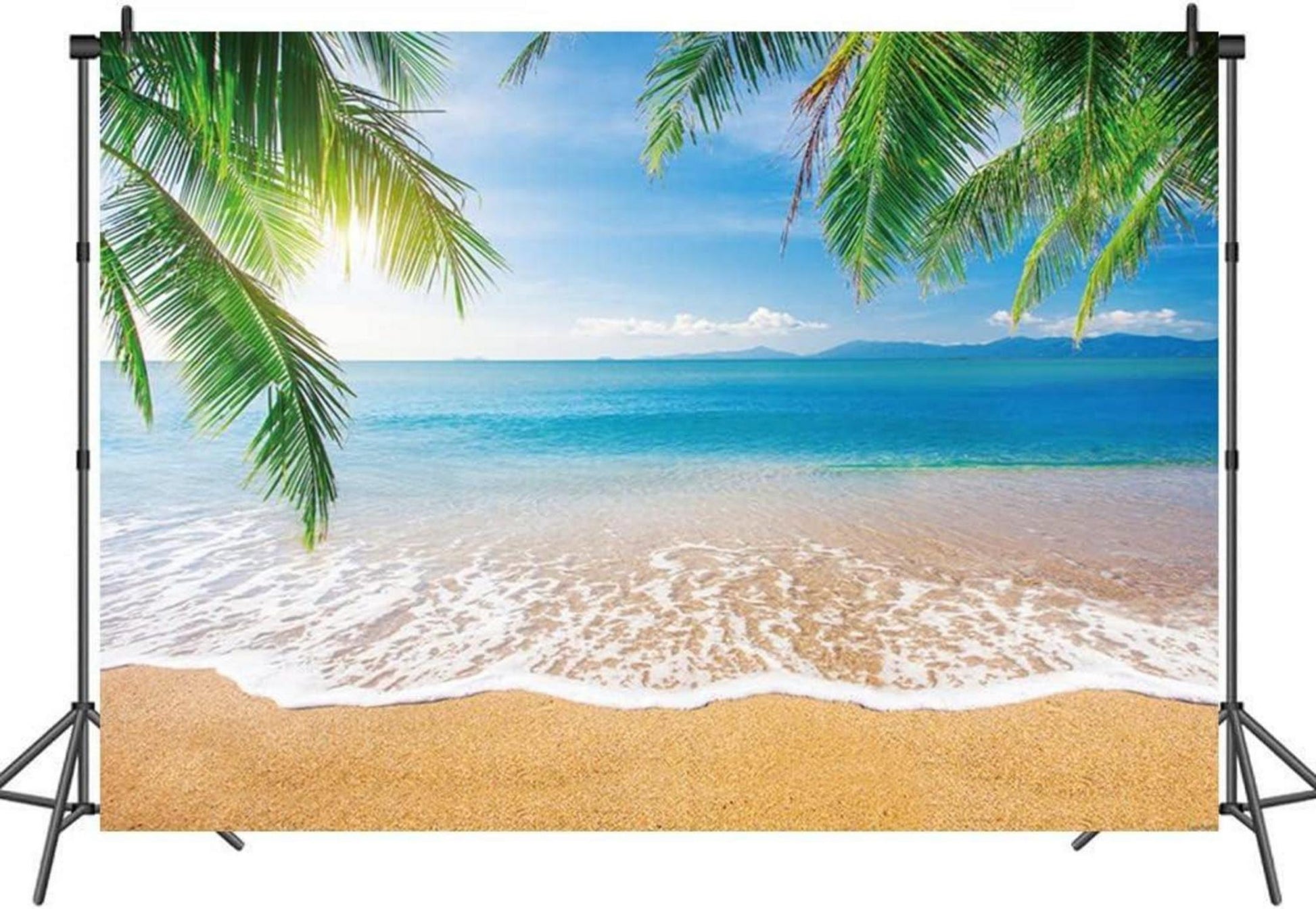 Tropischer Strand Fotografie Hintergrund Palmen Meer Himmel Luau Party