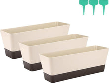 Rechteckiger Blumenkasten Kunststoff 30,5cm 3er Set Sukkulenten