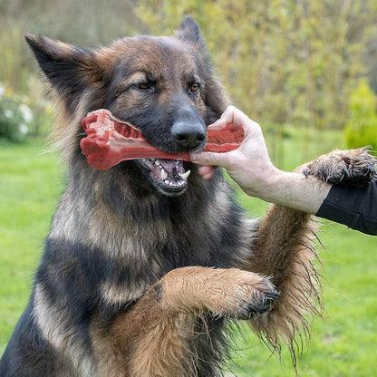 MASBRILL Hundespielzeug Kauspielzeug Naturkautschuk
