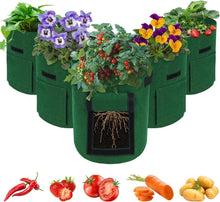Plant Grow Bags 5er Set 5 Gallonen mit Sichtfenster & Griffen
