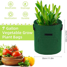 Potato Growing Bags, 5er Pack 7 Gallonen Gemüse Pflanzsäcke