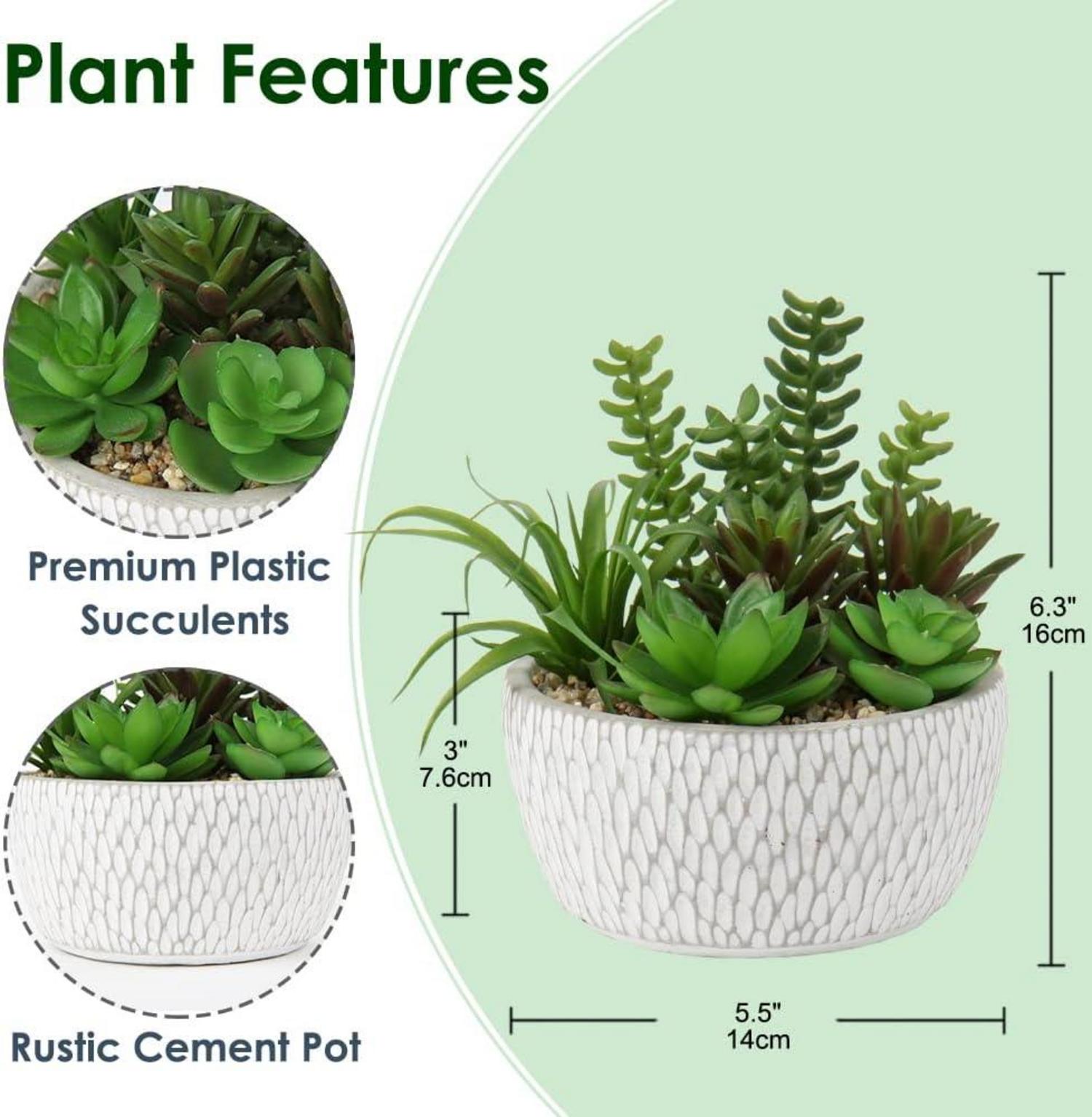 Kunstpflanze Sukkulentenarrangement 16cm Zementtopf
