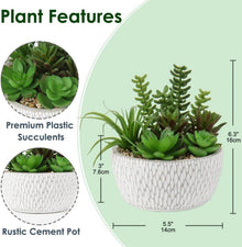 Kunstpflanze Sukkulentenarrangement 16cm Zementtopf