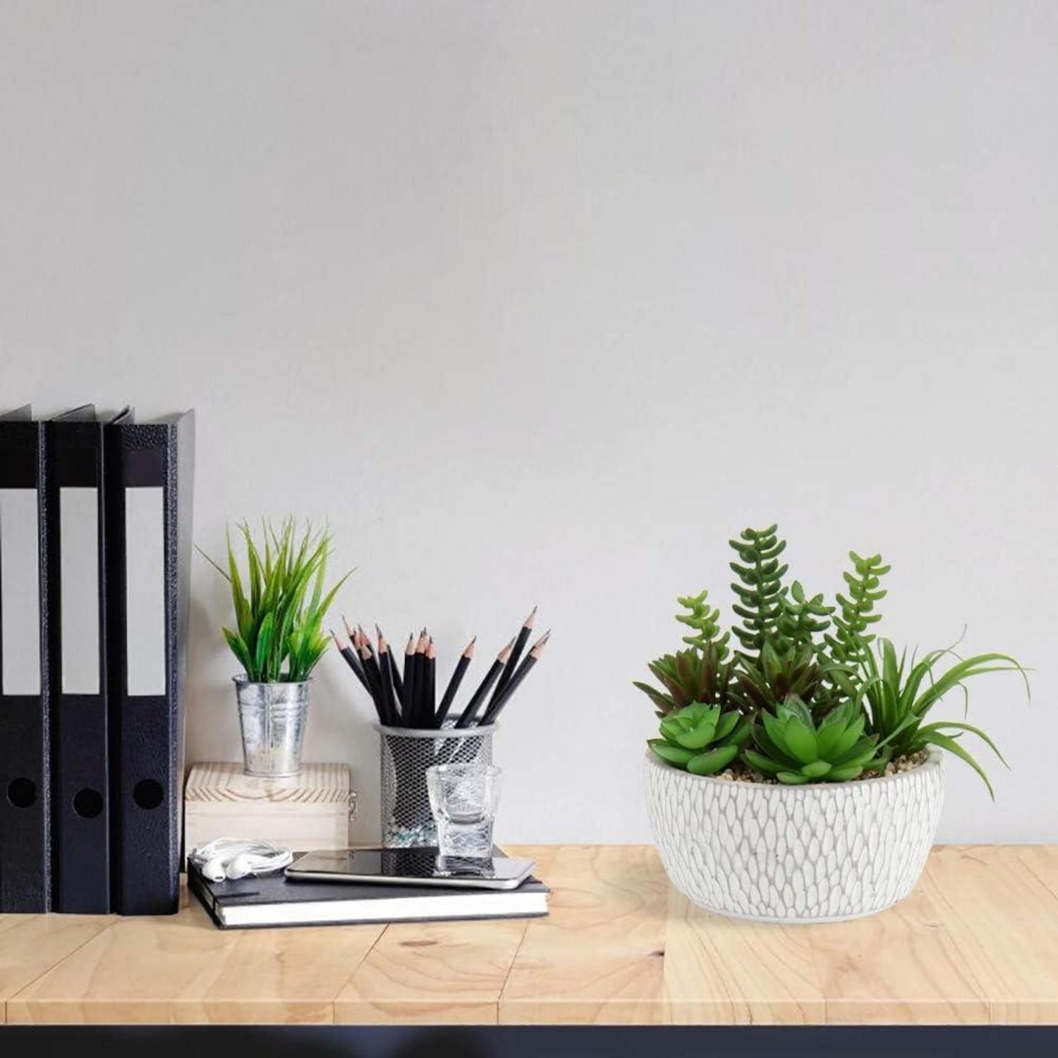 Kunstpflanze Sukkulentenarrangement Zementtopf Deko 16cm