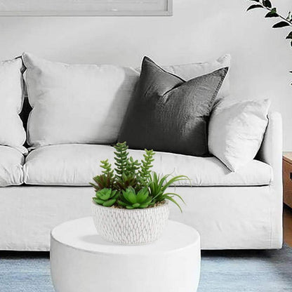 Briful Künstliche Sukkulentenarrangement im Zementtopf Höhe 16cm