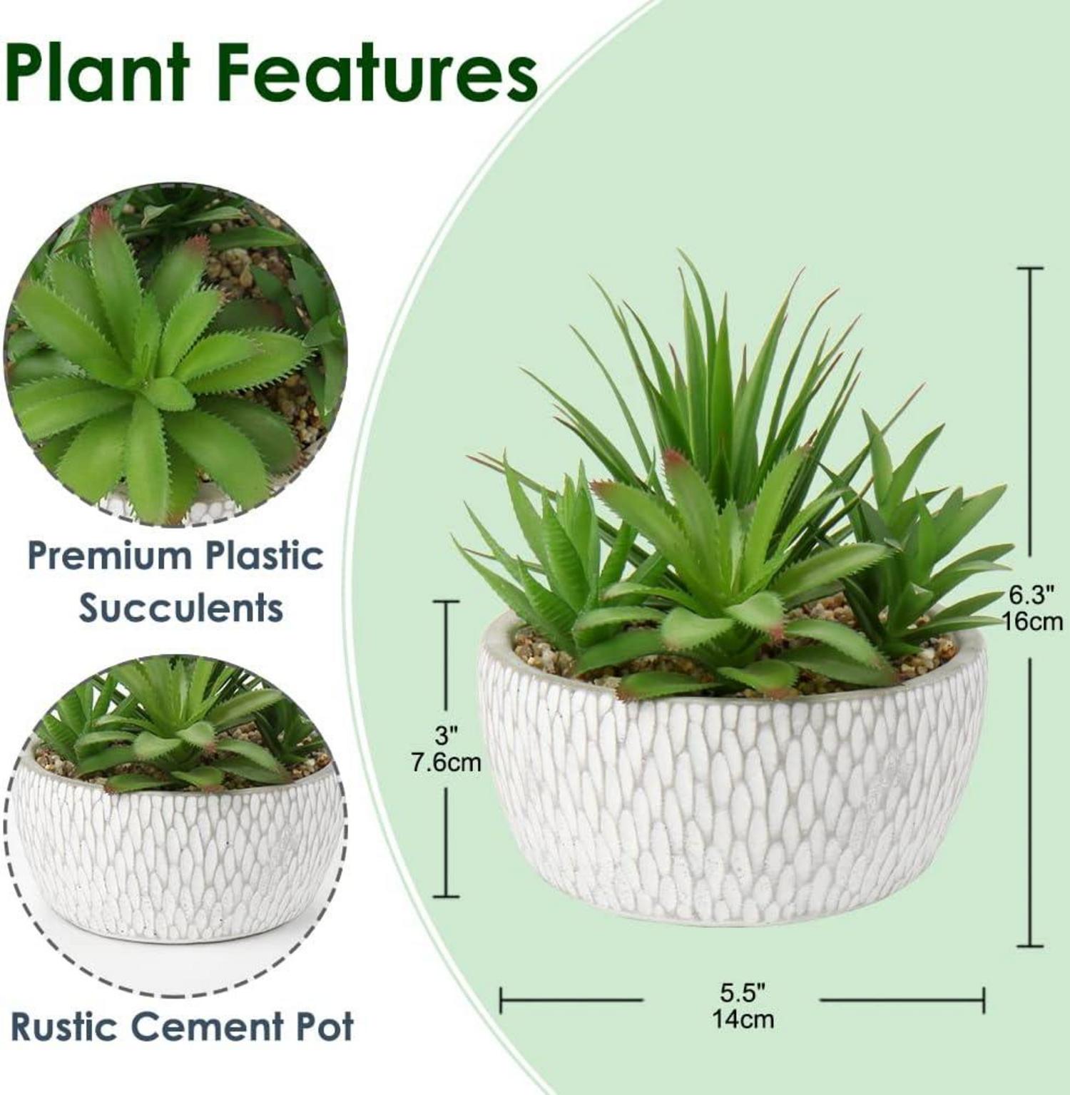 Kunstpflanze Sukkulentenarrangement Deko Wohnzimmer