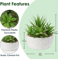 Kunstpflanze Sukkulentenarrangement Deko Wohnzimmer