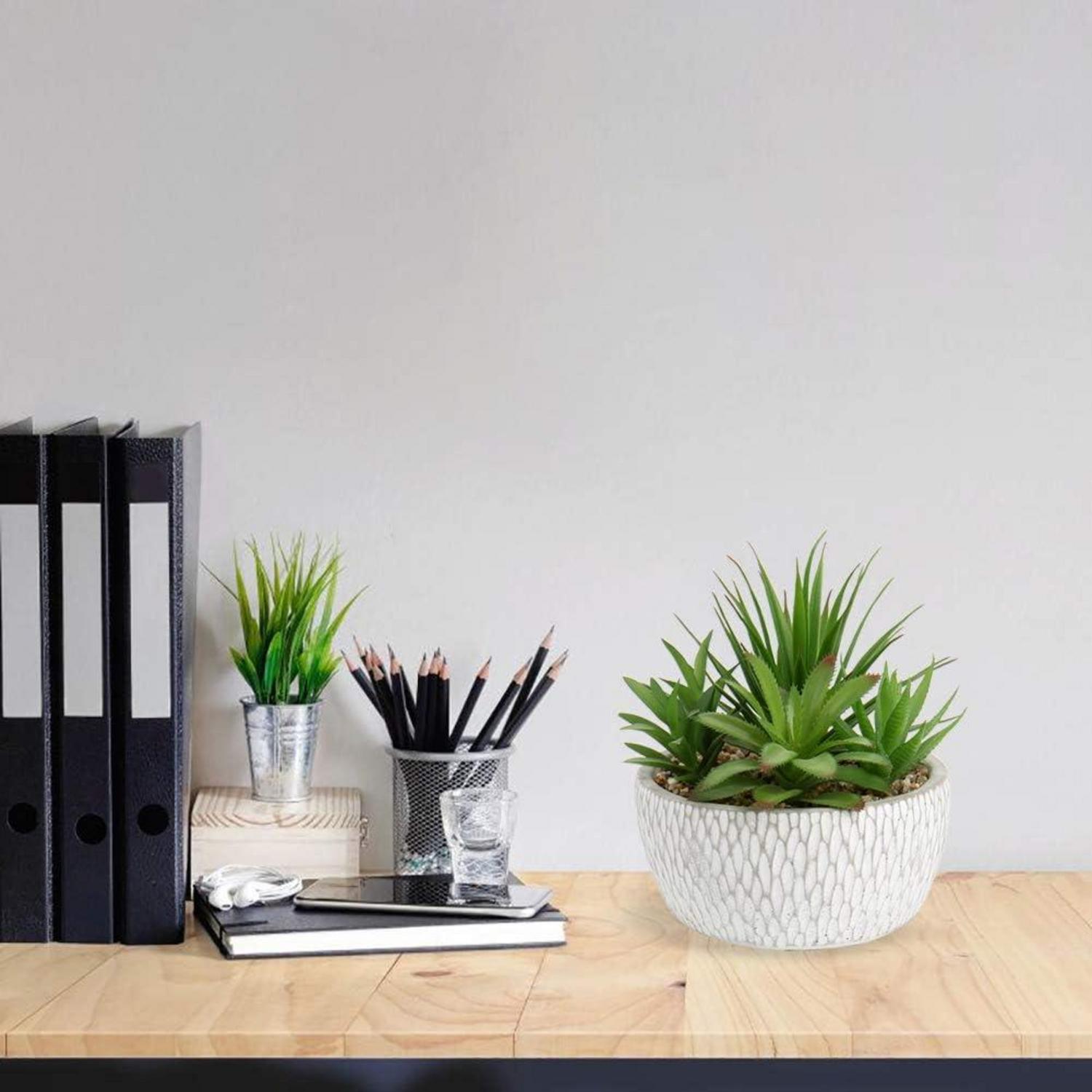 Kunstpflanze Sukkulentenarrangement Deko Tischdeko 16cm Wohnzimmer Zementtopf