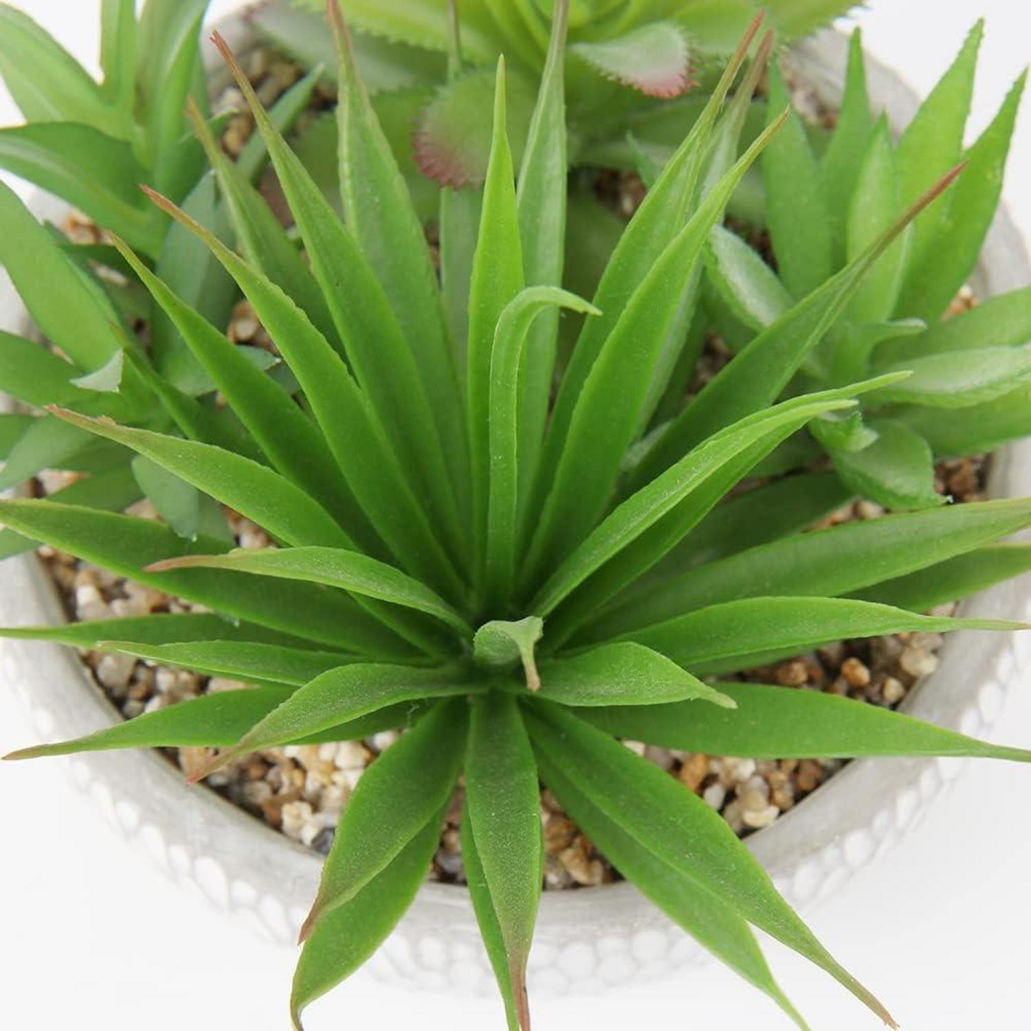 Kunstpflanze Sukkulentenarrangement Deko Zementtopf 16cm