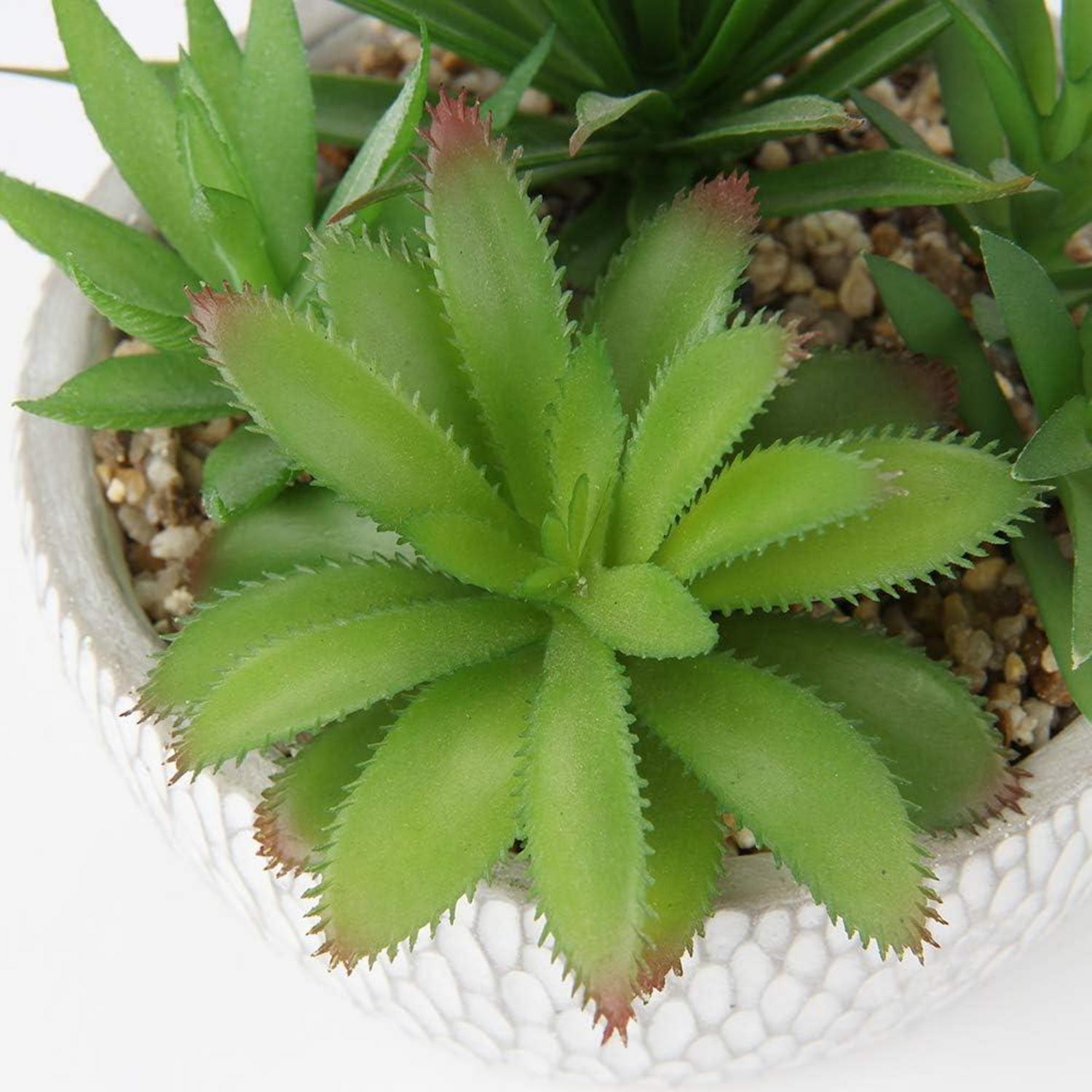 Kunstpflanze Sukkulentenarrangement Deko Tischdeko 16cm Wohnzimmer Zementtopf