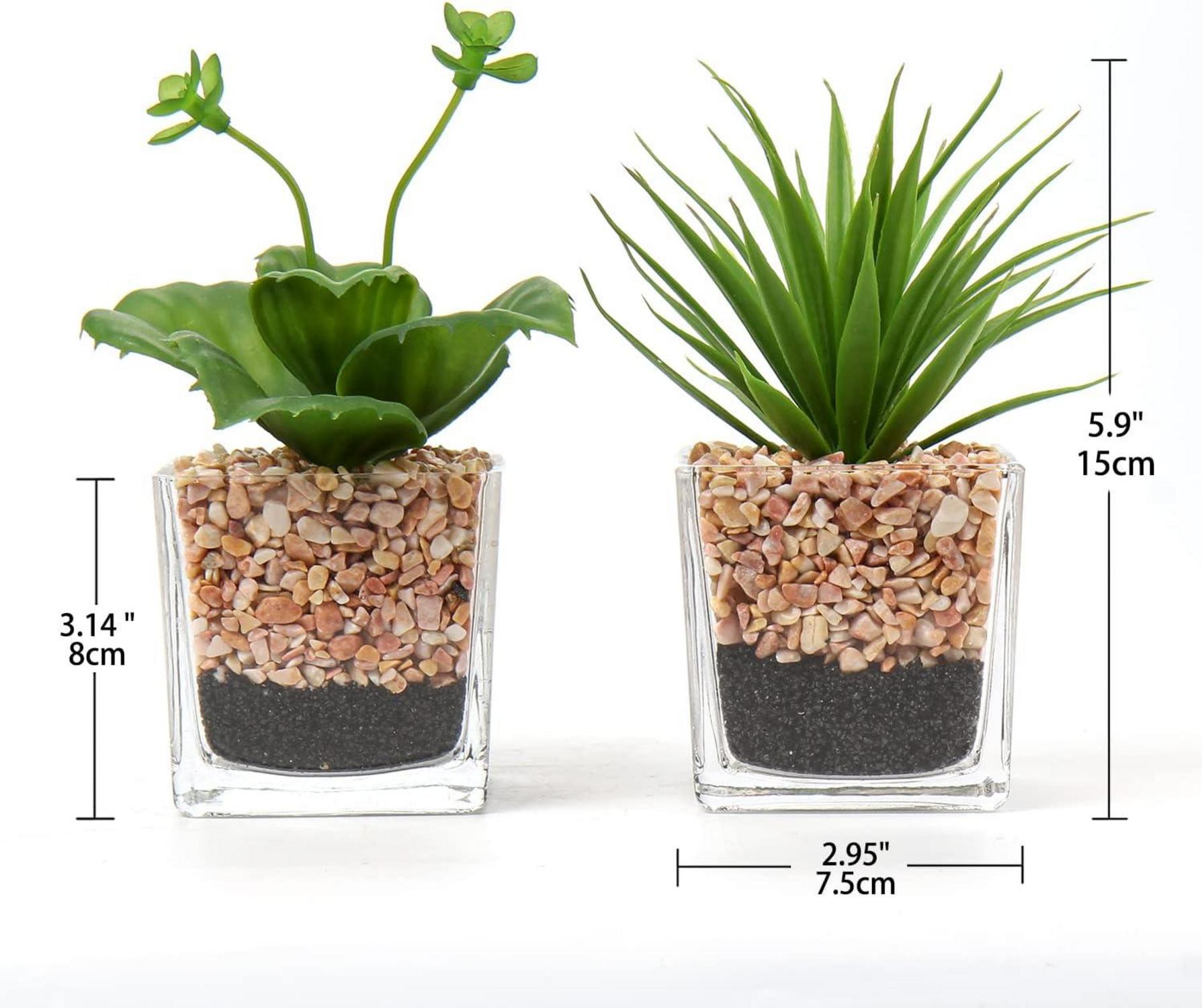 2er Set Künstliche Sukkulenten Kunstpflanze im Glastopf