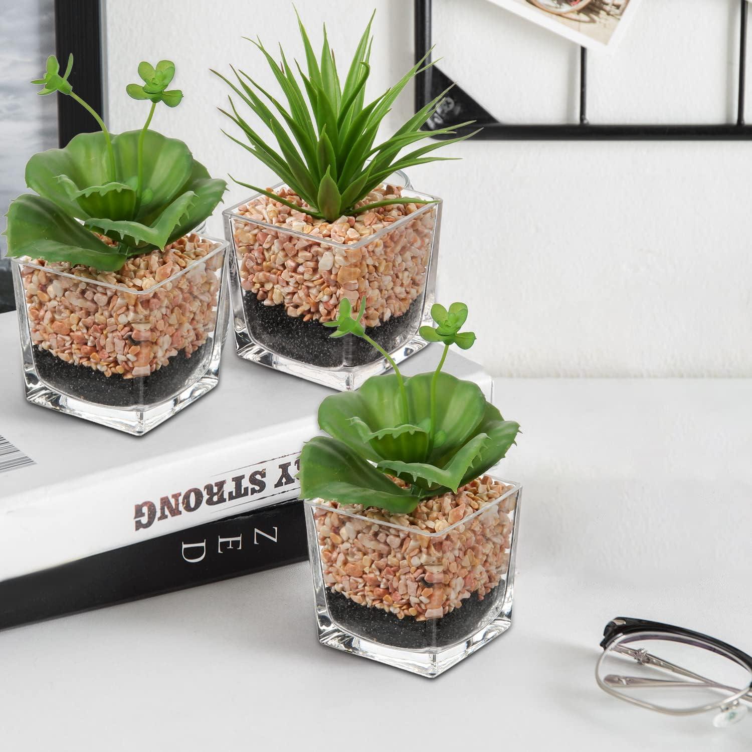 2er Set Künstliche Sukkulenten Kunstpflanze im Glastopf