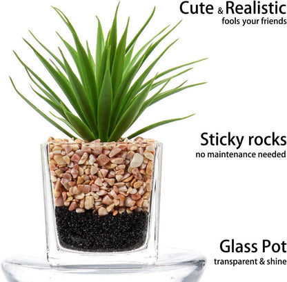 2er-Set Künstliche Sukkulenten im Glas Topf Wohnzimmer Deko