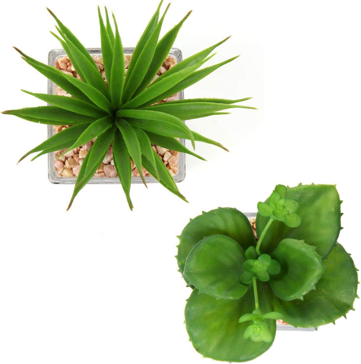 2er Set Künstliche Sukkulenten Glas Topf Deko Wohn Schlafzimmer