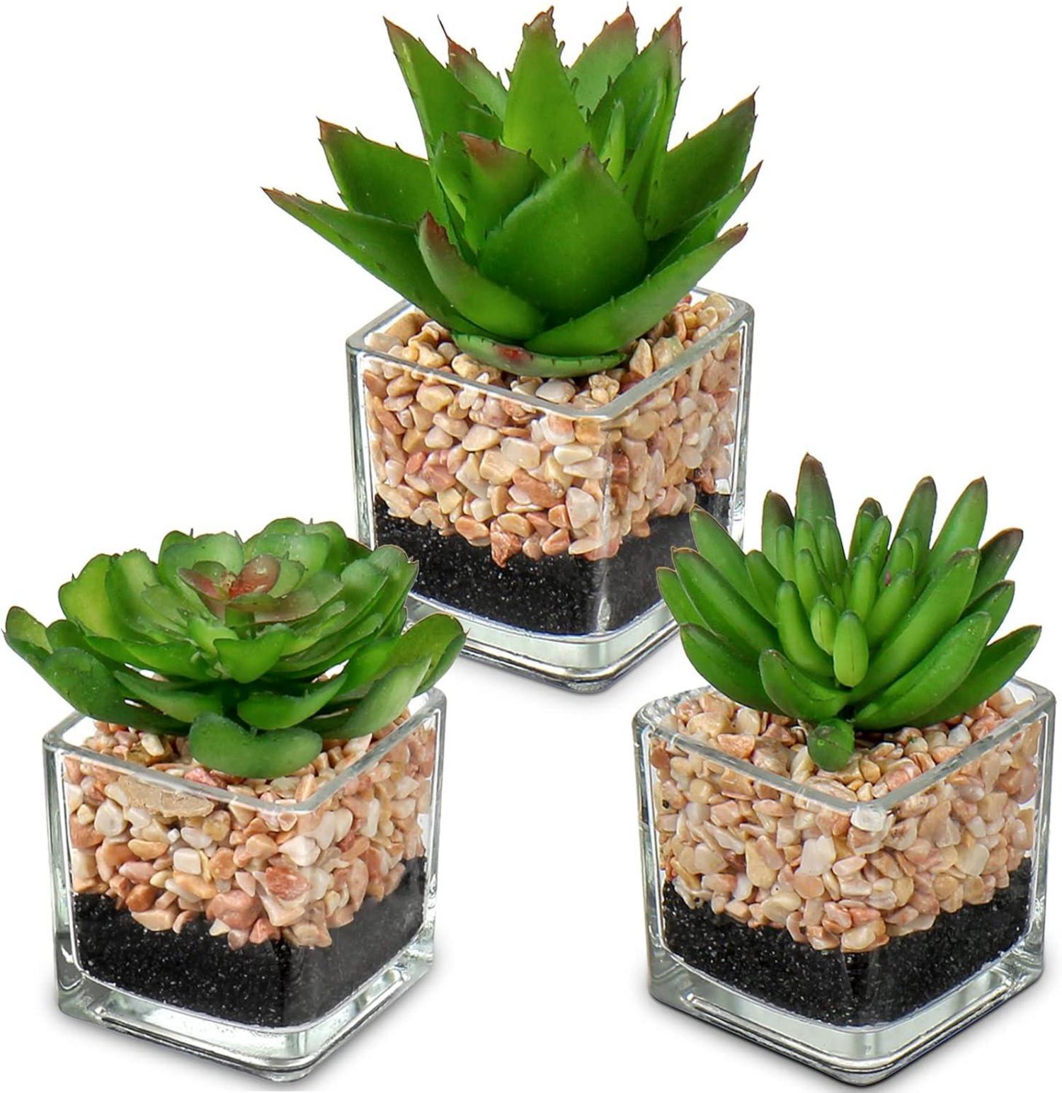 3er-Set Künstliche Sukkulenten im Glastopf - Dekorative Zimmerpflanzen