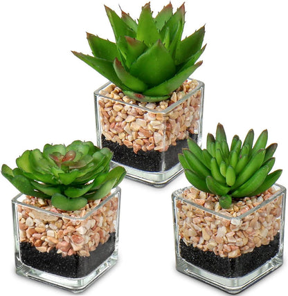 3er-Set Künstliche Sukkulenten im Glastopf - Dekorative Zimmerpflanzen