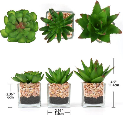 3PCS Künstliche Sukkulenten im Glastopf Deko Wohnzimmer
