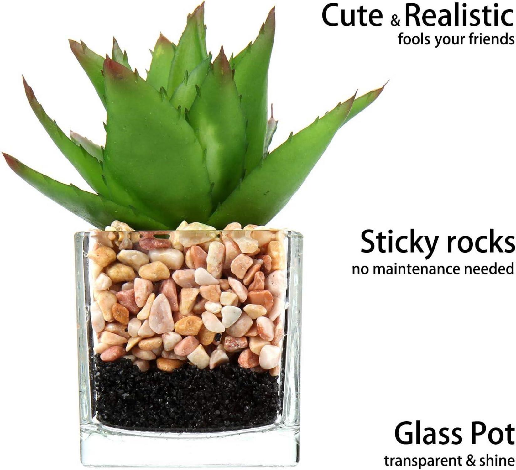 3er-Set Künstliche Sukkulenten im Glastopf - Dekorative Zimmerpflanzen