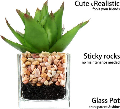 3er-Set Künstliche Sukkulenten im Glastopf - Dekorative Zimmerpflanzen