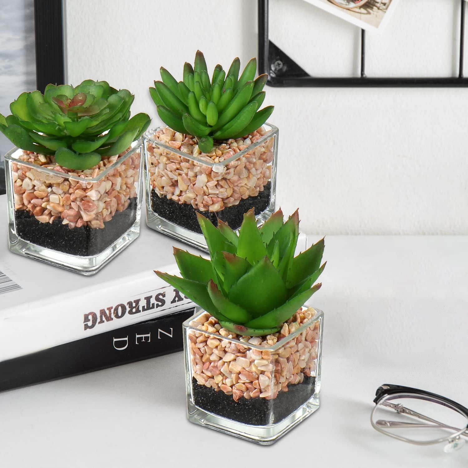 3er Set Künstliche Sukkulenten im Glas - Deko Zimmerpflanzen Wohnzimmer Badezimmer
