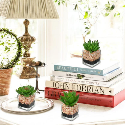 3er Set Sukkulenten Kunstpflanze Glastopf Deko Wohnzimmer Büro - NEU