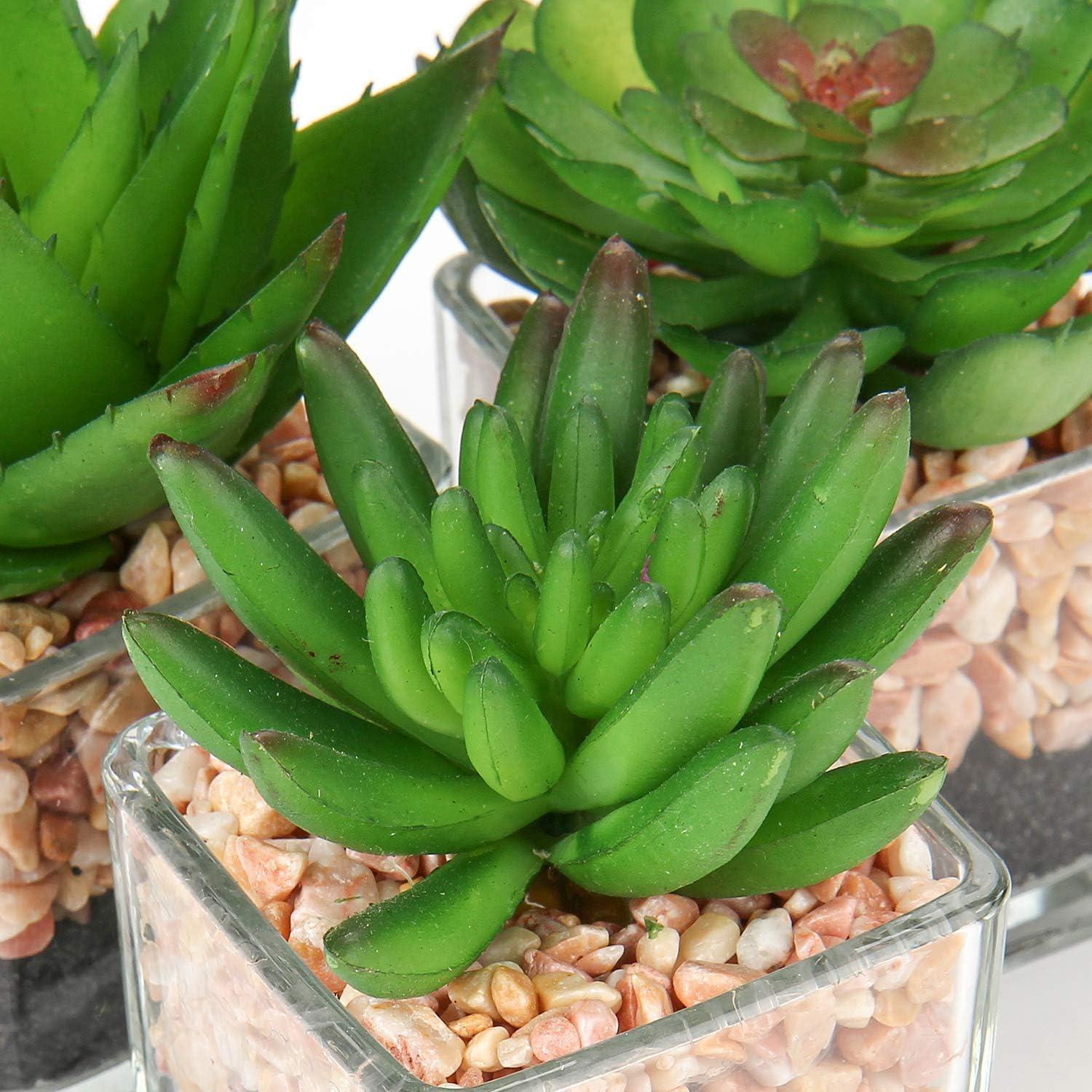 3er Set Sukkulenten Kunstpflanze Glastopf Deko Wohnzimmer Büro - NEU