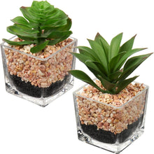 2er Set Künstliche Sukkulenten im Glastopf - Dekorative Zimmerpflanzen