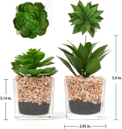 2er Set Künstliche Sukkulenten Deko Pflanze Glastopf