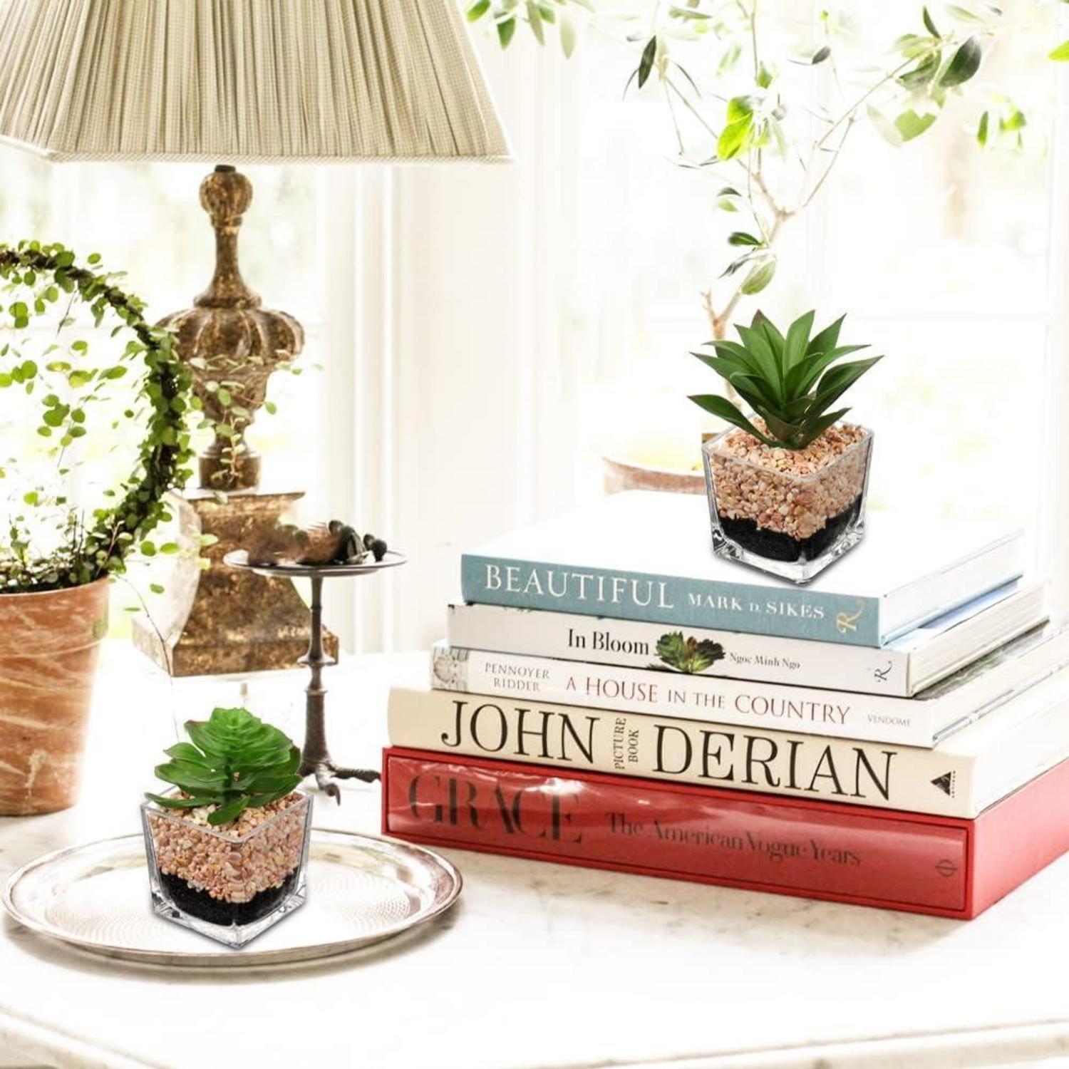 2er Set Künstliche Sukkulenten im Glastopf - Dekorative Zimmerpflanzen