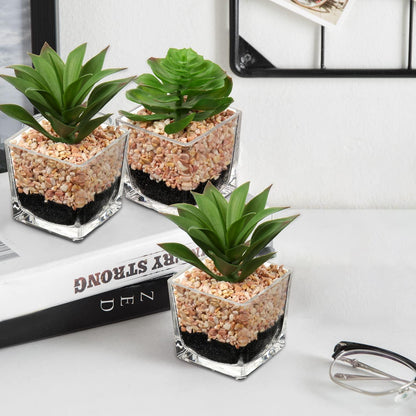 2er Set Künstliche Sukkulenten Glas Topf Deko Wohnzimmer Schlafzimmer Tisch