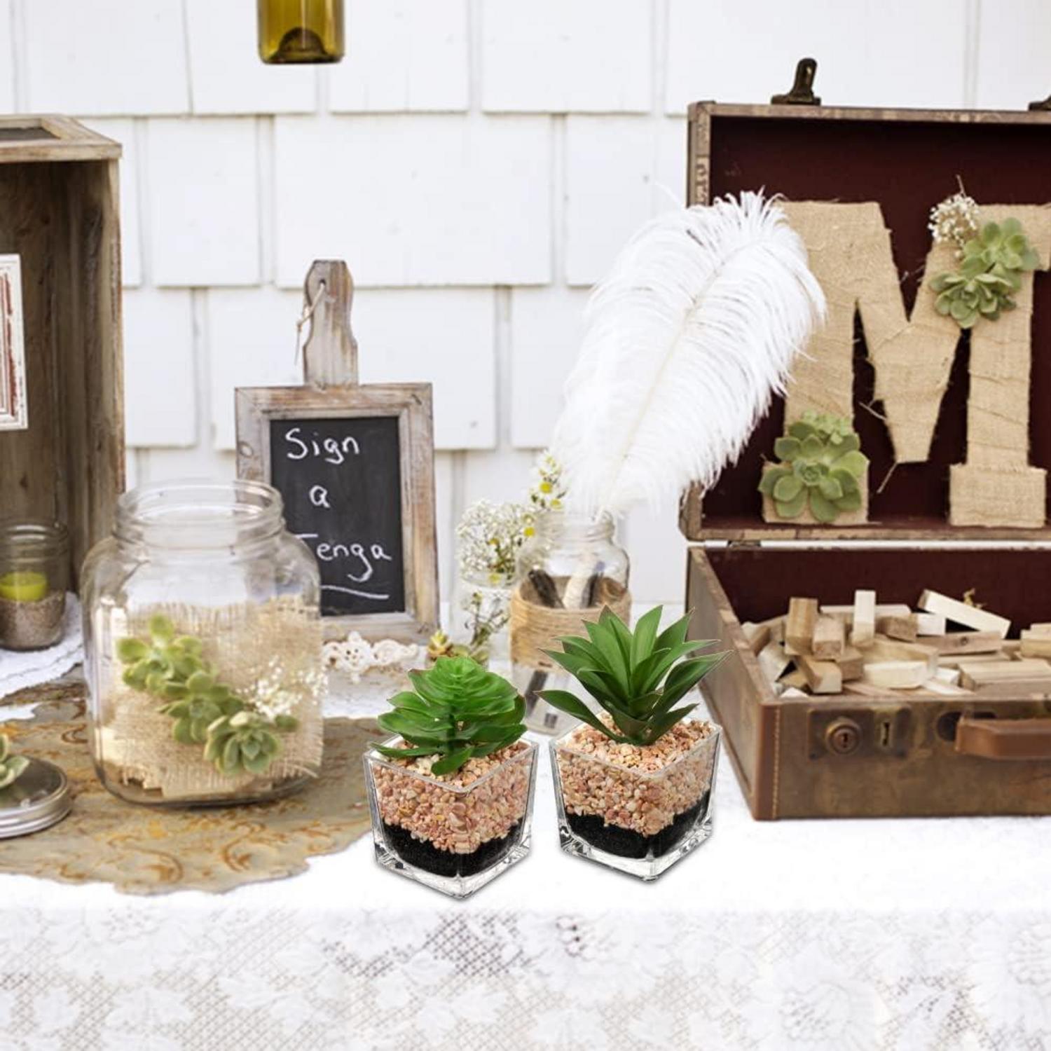 2er Set Künstliche Sukkulenten Kunstpflanzen im Glastopf deco